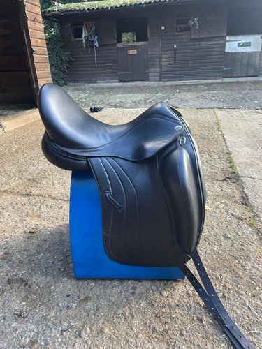 Harry dabbs mariella dressage - dabbs,