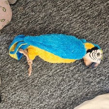 FurReal Friend Squawkers McCaw