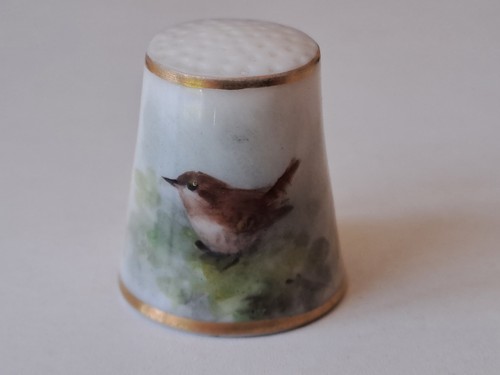 Superb royal worcester wren - royal,