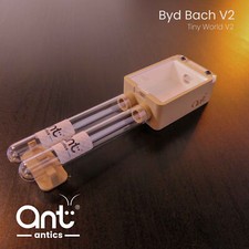 Ant starter nest | Founding