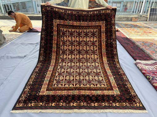 Beige hand knotted - beige,