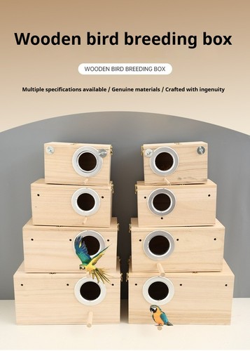 Budgie nest box breeding - budgie,