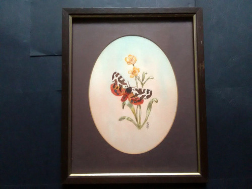Contemporary watercolour - contemporary,