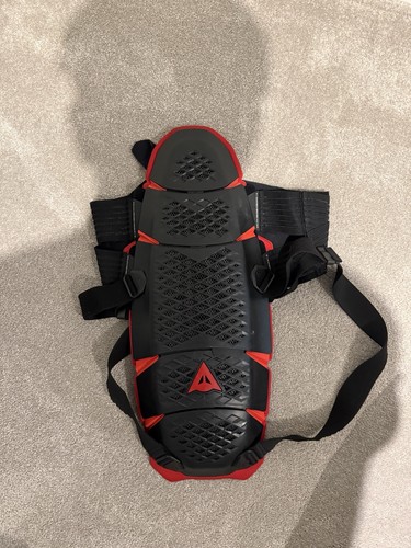 Dainese back protector - back,