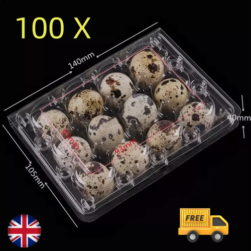 100x quail egg box - egg,