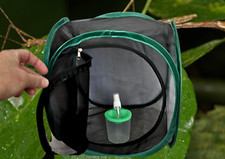 Stick Insect Starter Kit: Includes Pop Up Cage & Twig Pot