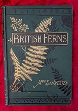 BRITISH FERNS by MRS LANKESTER