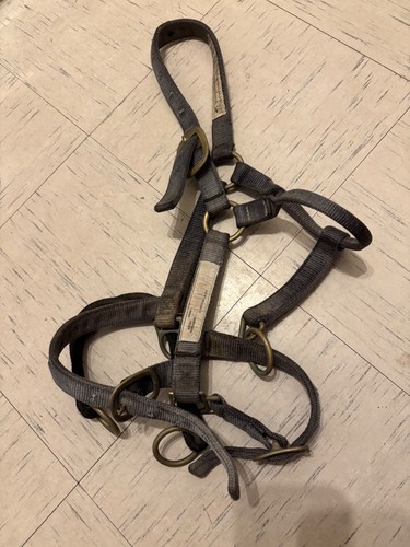 Monty roberts medium - roberts,