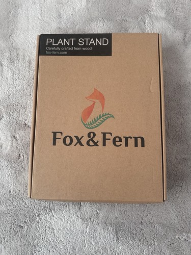 Fox fern plant - fern, stand