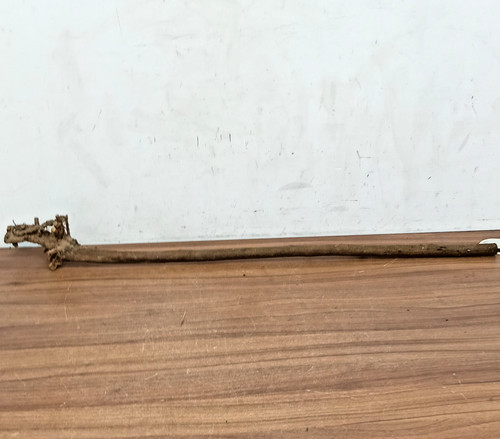 Blackthorn shank walking stick - shank,