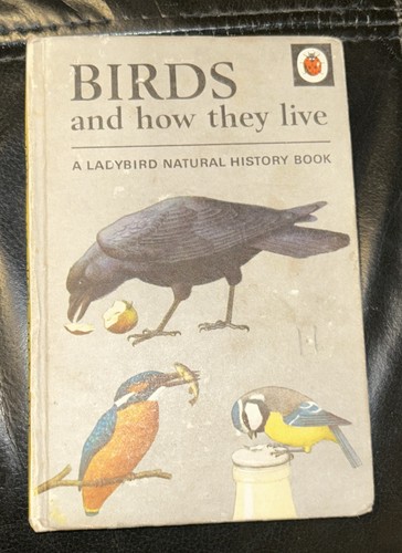 Ladybird birds how - how, they