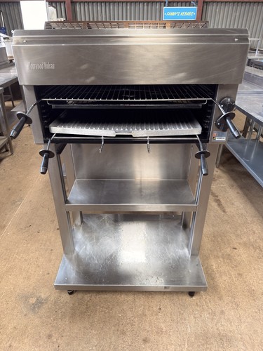 Morwood vulcan salamander - morwood,