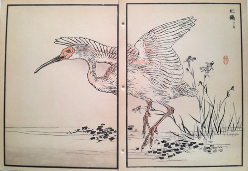 Bairei ibis japanese - japanese, print