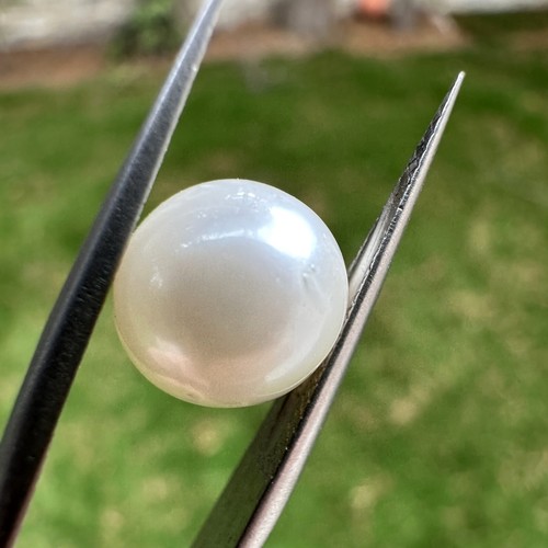 Pearl polished natural - pearl,