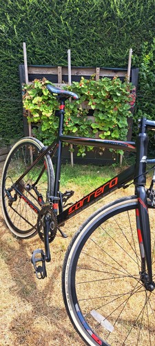 Carrera virtuoso men - carrera,