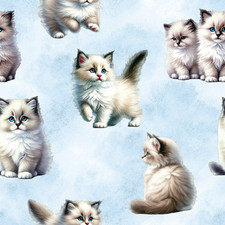 Ragdoll Cats on Blue! Sewing