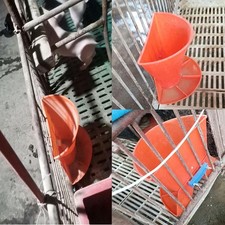 Pig Feeder Animal Husbandry