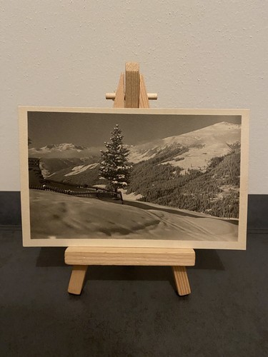 Vintage postcard alpine winter - postcard,