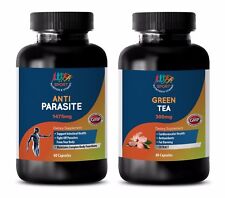 immune system cleaner -