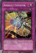 CRMS-EN075 Assault Counter