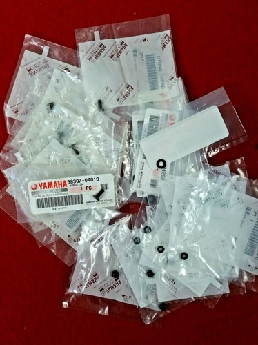Yamaha tz250 screen - yamaha,