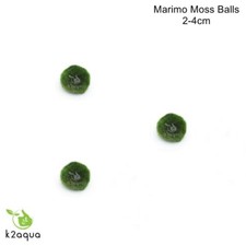 ALL sizes MARIMO MOSS BALLS
