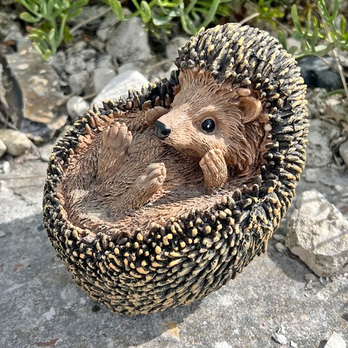 Hedgehog garden ornament - garden,
