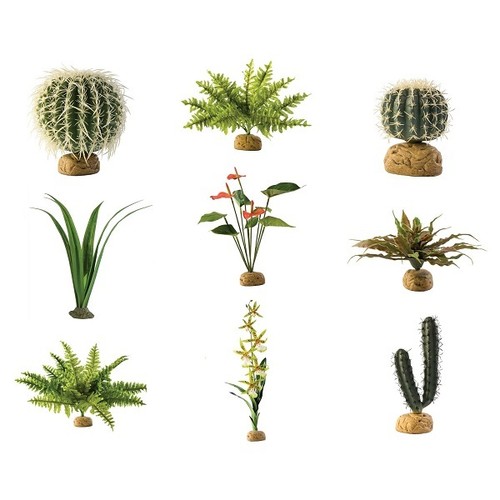 Exo terra reptile plant - reptile, jungle