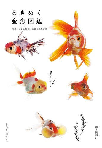 Goldfish field guide book - field,