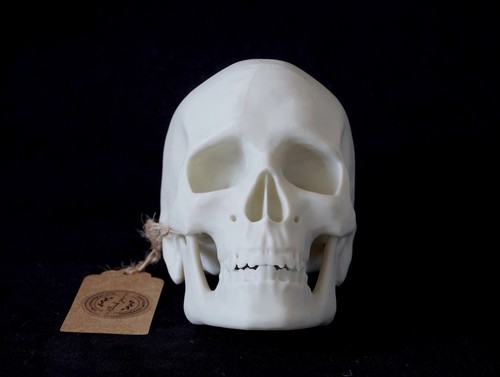 Printed replica human skull - human,