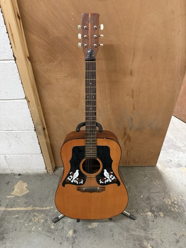 Kay 550 dove vintage - 550, acoustic