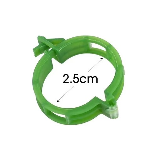 100x clip tomato - and, veggie