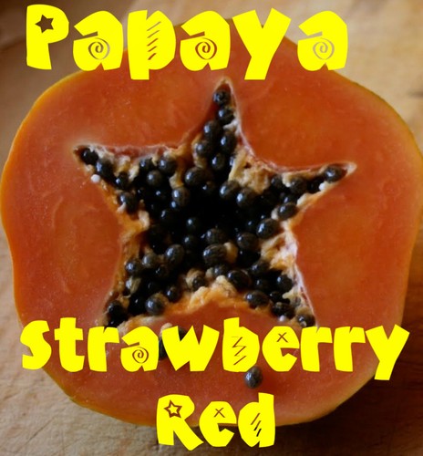Sunset papaya strawberry red - strawberry,