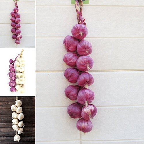 Artificial onion and - onion, garlic