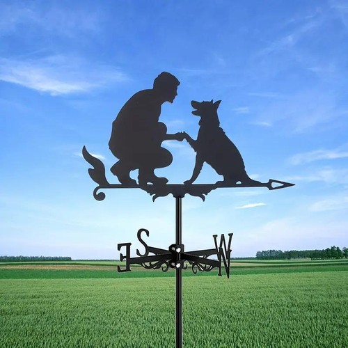 Metal weather vane iron - weather,