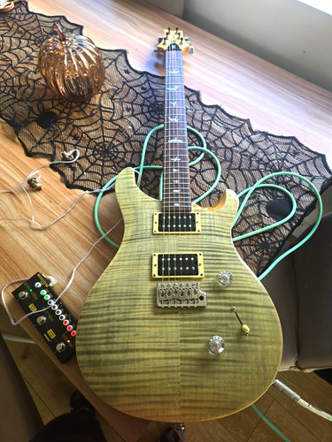 Prs custom electric - se, 24