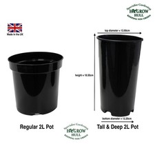 10x Extra Tall & Deep 2Ltr