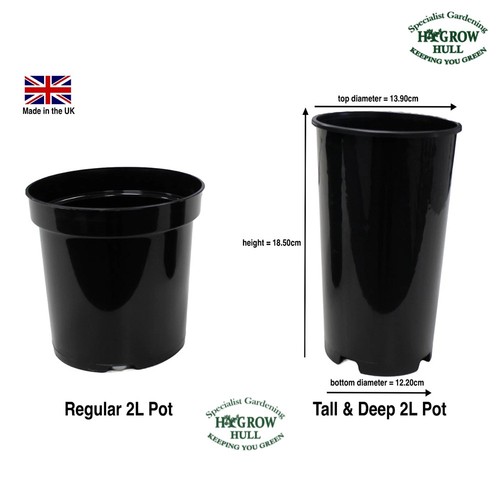 10x extra tall - extra, 2ltr