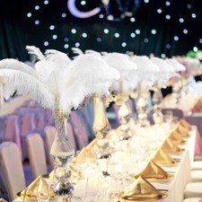 10-50pack Large Ostrich