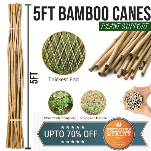 5ft bamboo garden - garden, canes