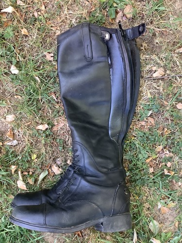 Ariat bromont long - ariat, leather