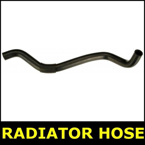 Radiator hose lower fits - radiator,