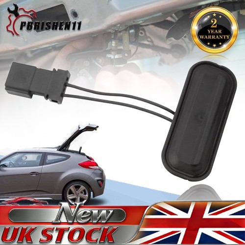 Rear tailgate boot opening - rear,