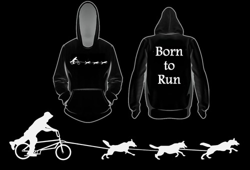 Siberian husky rig born - rig, run