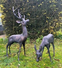 Large Stag and Doe Deer Garden