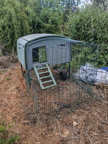 Omlet eglu chicken coop - up,