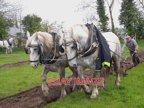 Photo county cavan ploughing - county,