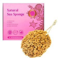 Jordan Benedict Natural Shower Sponge - Unbleached Honeycomb Bath Sea Sponge 