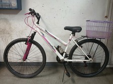 Rallye Descent 26" wheels 18