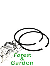 Piston rings set 47 mm for